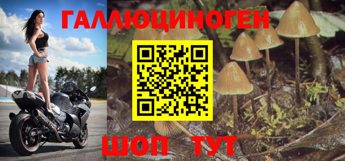 Красный Сулин  Псилоцибиновые грибы GOLDEN TEACHER  Вход с VPN 