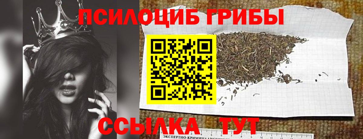 Галлюциногенные грибы прущие грибы Красный Сулин